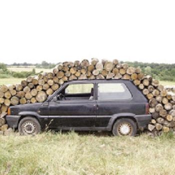 Sculpture intitulée "PANDA LE RETOUR DE…" par Pierre-Marie Dutel, Œuvre d'art originale, Bois