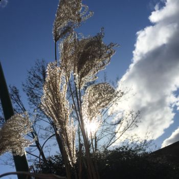 Photographie intitulée "Caluire" par Martine Maury, Œuvre d'art originale, Photographie non manipulée