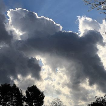 Photographie intitulée "dauphin dans le ciel" par Martine Maury, Œuvre d'art originale, Photographie non manipulée