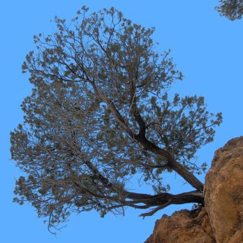 Photographie intitulée "equilibre" par Martine Maury, Œuvre d'art originale, Photographie non manipulée