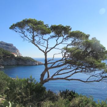 Photographie intitulée "chemin du littoral" par Martine Maury, Œuvre d'art originale, Photographie non manipulée