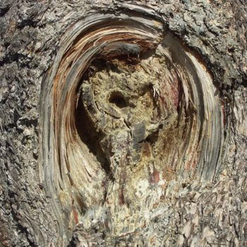Photographie intitulée "empreinte" par Martine Maury, Œuvre d'art originale, Photographie non manipulée