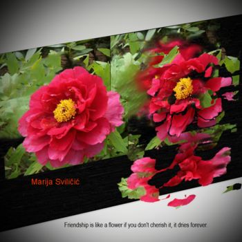 "Flower- Digital wor…" başlıklı Dijital Sanat Marija Sviličić tarafından, Orijinal sanat, Fotoşoplu fotoğrafçılık