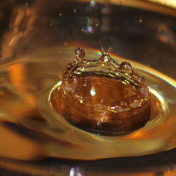 Photography titled "Couronne dorée 1" by Marie Marlène Mahalatchimy, Original Artwork, Non Manipulated Photography