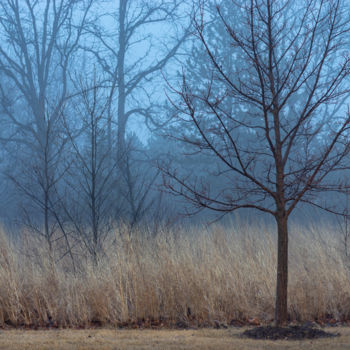 Fotografia intitulada "Blue Morning" por Gwendolyn Roth, Obras de arte originais, Fotografia digital