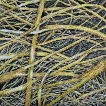 Drawing titled "Lichens II" by Isabelle Stagg, Original Artwork, Pencil