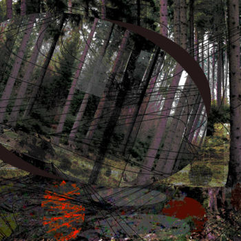 Digital Arts titled "Black forest" by Marc Bulyss, Original Artwork, Digital Painting
