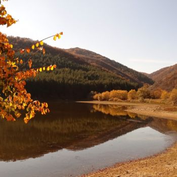 Φωτογραφία με τίτλο "Lake Rock" από Graham Richard, Αυθεντικά έργα τέχνης, Μη χειραγωγημένη φωτογραφία