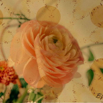 Arts numériques intitulée "Rose des Sables" par Marc Bulyss, Œuvre d'art originale, Peinture numérique