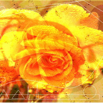 Digitale Kunst getiteld "Rose du Vent" door Marc Bulyss, Origineel Kunstwerk, Digitaal Schilderwerk
