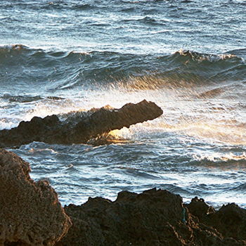 Photographie intitulée "le crocodile de la…" par Martine Maury, Œuvre d'art originale, Photographie non manipulée