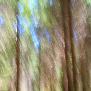 Photographie intitulée "Une Pluie de Couleu…" par Philippe Berthier, Œuvre d'art originale, Photographie numérique