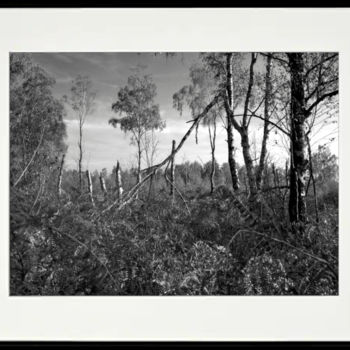 Fotografia intitulada "Sun after the storm…" por Marco Brugts, Obras de arte originais, Fotografia digital
