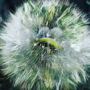 Photography titled "Art Natural green" by Art Moé, Original Artwork, Digital Photography