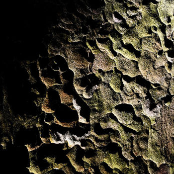 Photography titled "All That You Touch…" by Martin Vallis, Original Artwork, Digital Photography