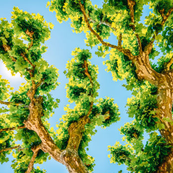 Fotografie mit dem Titel "Exotic Tree Vegetat…" von Radu Bercan, Original-Kunstwerk, Digitale Fotografie