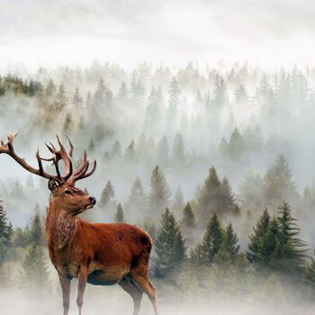 Artes digitais intitulada "Deer. Winter." por Radiy Bohem, Obras de arte originais, Foto Montagem