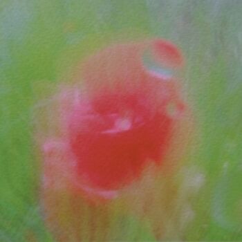 Photographie intitulée "Popii 36/28 [0xB07F…" par Éric Petr, Œuvre d'art originale, Photographie non manipulée