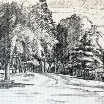 Dessin intitulée "Le parc" par Pascal Brachet, Œuvre d'art originale, Crayon