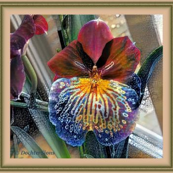 Photography titled "Miltonia Orchid" by Mies De Graaf, Original Artwork, Digital Photography