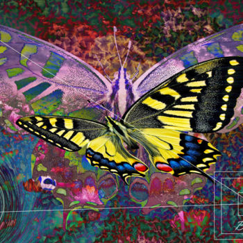 Digital Arts titled "B Like  Butterflye" by Marc Bulyss, Original Artwork, Digital Painting