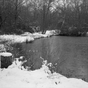 Photography titled "La lande" by Frédéric Duchesnay, Original Artwork, Analog photography