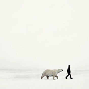 Digital Arts titled "Arctic" by Jean-Marie Gitard, Original Artwork, Photo Montage Mounted on Wood Stretcher frame