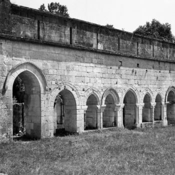 Φωτογραφία με τίτλο "L'abbaye" από Frédéric Duchesnay, Αυθεντικά έργα τέχνης, Φωτογραφική ταινία