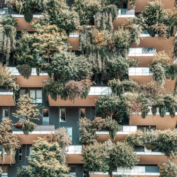 Fotografia zatytułowany „Bosco Verticale, Ve…” autorstwa Radu Bercan, Oryginalna praca, Fotografia cyfrowa
