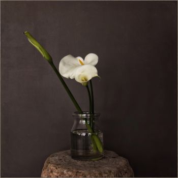 Photographie intitulée "Bouquet 4" par Nicole Rochedix, Œuvre d'art originale, Photographie numérique