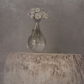 Photographie intitulée "Bouquet 6" par Nicole Rochedix, Œuvre d'art originale, Photographie numérique