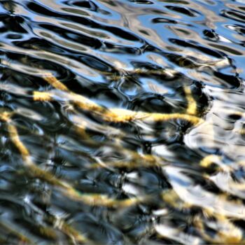 Photography titled "Série Reflets - Mon…" by Marie Marlène Mahalatchimy, Original Artwork, Digital Photography