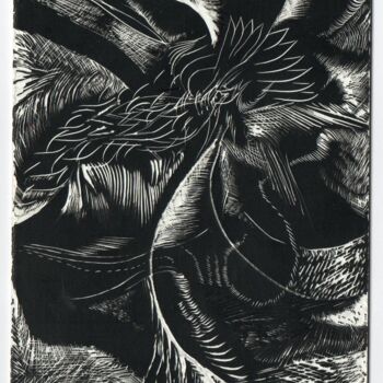 Printmaking titled "L'oiseau qui cherch…" by Jean-Philippe Degraeve, Original Artwork, Engraving