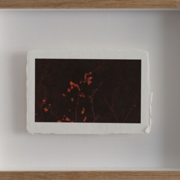 Photographie intitulée "0x30771501 [a.m.o.u…" par Éric Petr, Œuvre d'art originale, Photographie non manipulée Monté sur Pan…