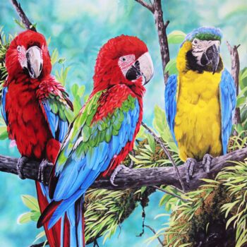 제목이 "Scarlet Macaws and…"인 미술작품 Julian Wheat로, 원작, 아크릴