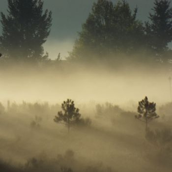 Photography titled "LANDSCAPES XXXIII:…" by Curtis H. Jones, Original Artwork, Digital Photography Mounted on Wood Stretcher…