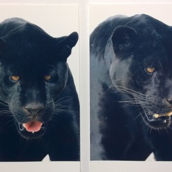 Photography titled "Black Power 2x" by Jacques Jégo, Original Artwork, Non Manipulated Photography
