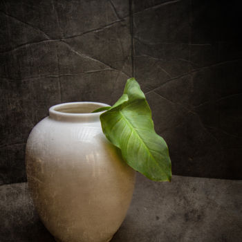 Photography titled "Vase blanc" by Jean-François Mansencal, Original Artwork, Digital Photography