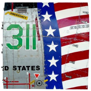 Sculpture intitulée "AMERICAN PLANE 311" par Jerome Chauvin (JICE), Œuvre d'art originale, Acrylique