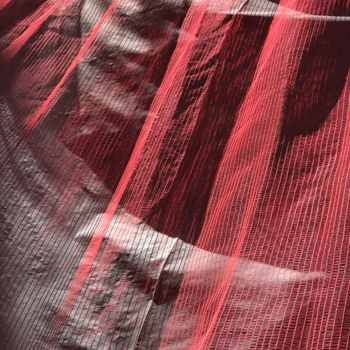 Photography titled "Flesh - 4/7" by Mélina Bismuth, Original Artwork, Digital Photography