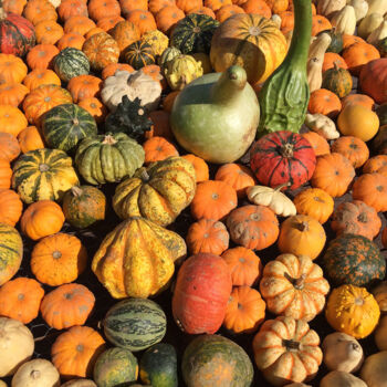 Photographie intitulée "Fruits d'automne" par Camille R., Œuvre d'art originale, Photographie non manipulée