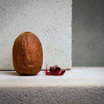 Photography titled "Kiwi sec" by Jean-François Mansencal, Original Artwork, Digital Photography