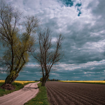 Photographie intitulée "In June in the coun…" par Jarek Sieczkowski, Œuvre d'art originale, Photographie non manipulée