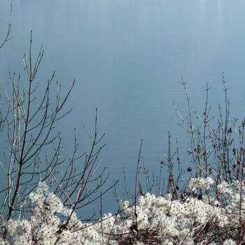 Photographie intitulée "La dernière neige" par Camille R., Œuvre d'art originale, Photographie non manipulée