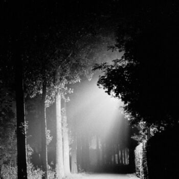 Photographie intitulée "At night" par Robin Vandenabeele, Œuvre d'art originale