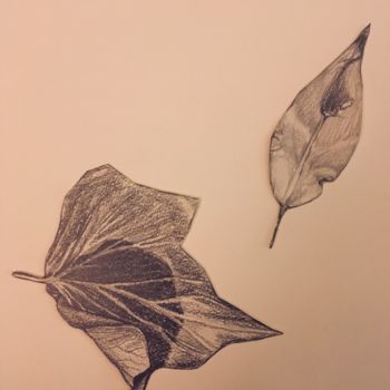 Σχέδιο με τίτλο "Feuilles. Planche 5…" από Victoria, Αυθεντικά έργα τέχνης, Μολύβι