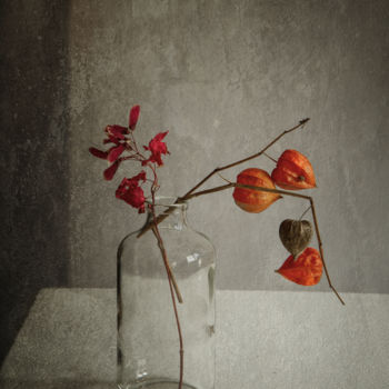 Photography titled "Physalis 2" by Jean-François Mansencal, Original Artwork, Digital Photography