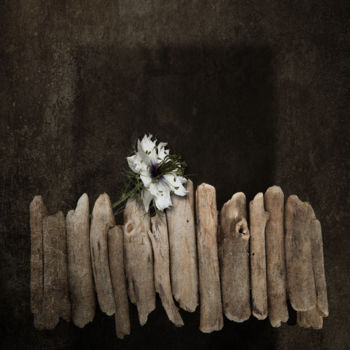 Photographie intitulée "Fleur au balcon" par Jean-François Mansencal, Œuvre d'art originale, Photographie numérique
