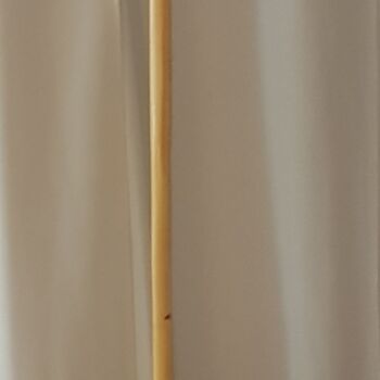 Scultura intitolato "Boire" da Max Bernard, Opera d'arte originale, Legno