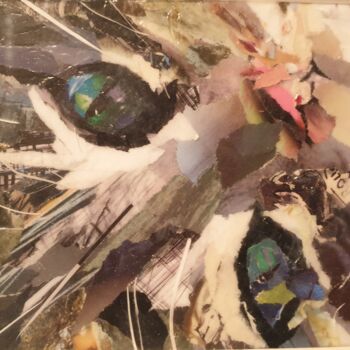 Collages intitulée "chaton" par Dana, Œuvre d'art originale, Collages